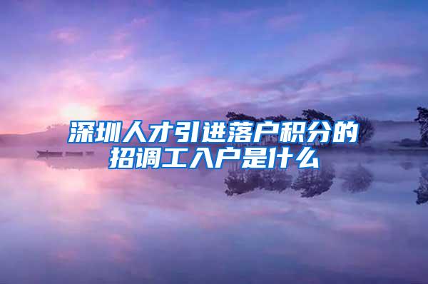 深圳人才引进落户积分的招调工入户是什么