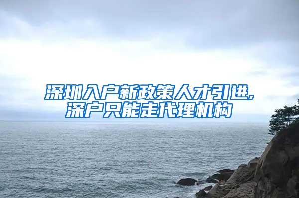 深圳入户新政策人才引进,深户只能走代理机构