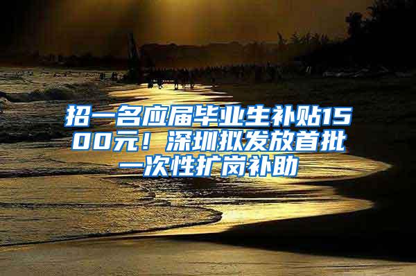 招一名应届毕业生补贴1500元！深圳拟发放首批一次性扩岗补助