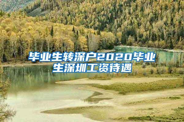 毕业生转深户2020毕业生深圳工资待遇