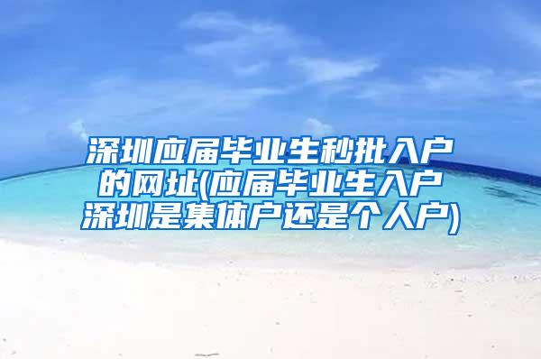 深圳应届毕业生秒批入户的网址(应届毕业生入户深圳是集体户还是个人户)