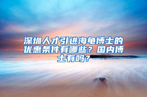 深圳人才引进海龟博士的优惠条件有哪些？国内博士有吗？