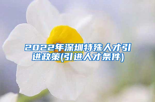 2022年深圳特殊人才引进政策(引进人才条件)