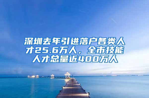 深圳去年引进落户各类人才25.6万人，全市技能人才总量近400万人