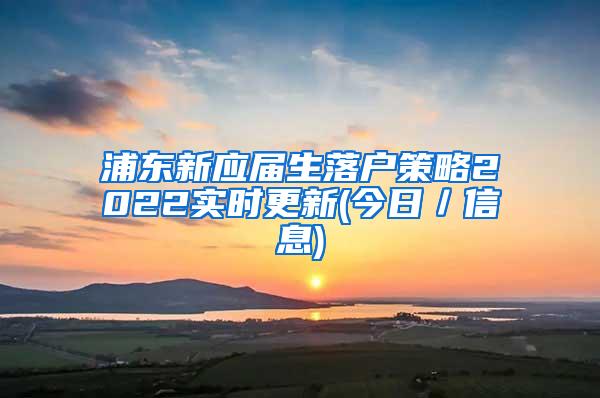 浦东新应届生落户策略2022实时更新(今日／信息)