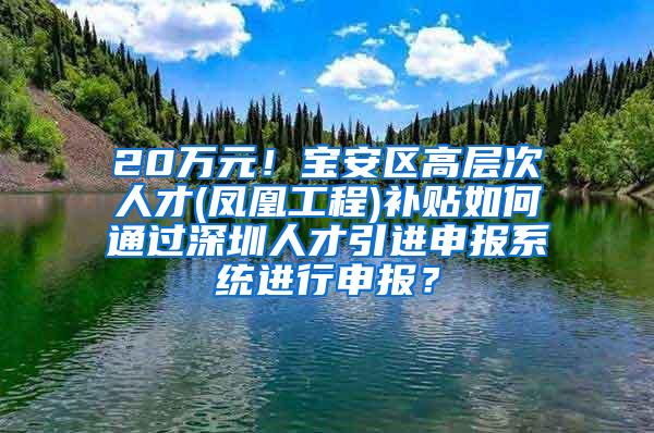 20万元！宝安区高层次人才(凤凰工程)补贴如何通过深圳人才引进申报系统进行申报？