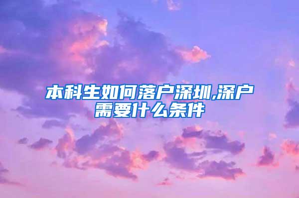 本科生如何落户深圳,深户需要什么条件