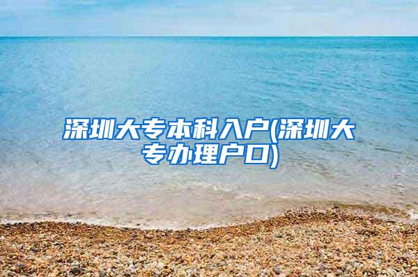 深圳大专本科入户(深圳大专办理户口)