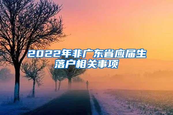 2022年非广东省应届生落户相关事项