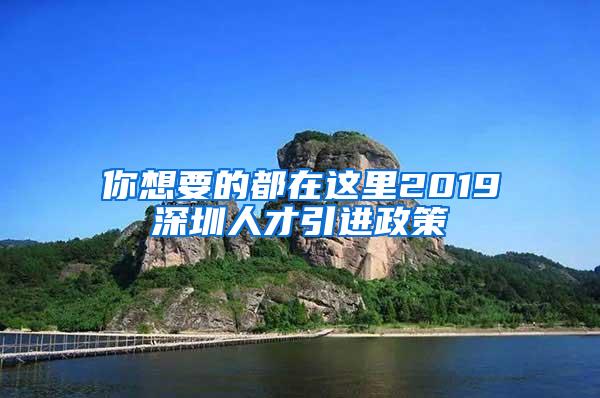 你想要的都在这里2019深圳人才引进政策