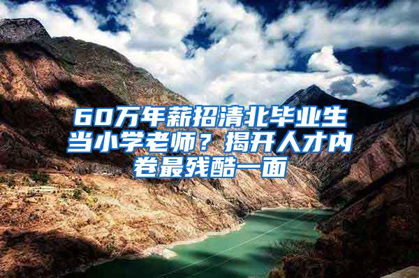 60万年薪招清北毕业生当小学老师？揭开人才内卷最残酷一面