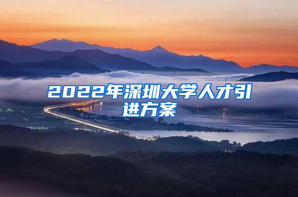 2022年深圳大学人才引进方案