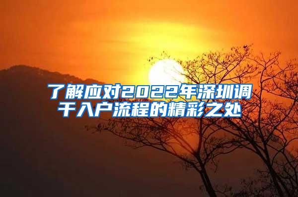 了解应对2022年深圳调干入户流程的精彩之处