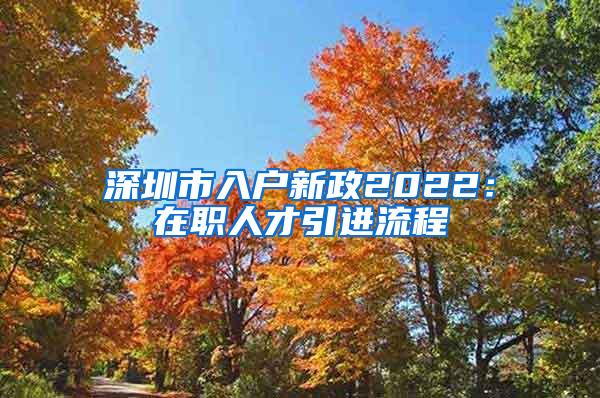 深圳市入户新政2022：在职人才引进流程