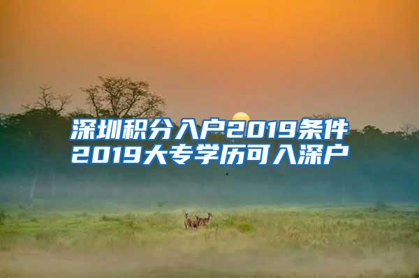 深圳积分入户2019条件2019大专学历可入深户