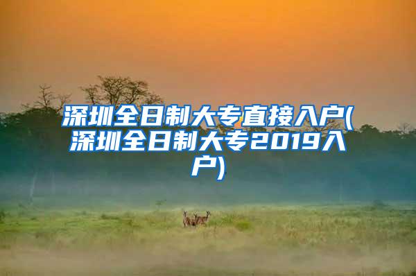 深圳全日制大专直接入户(深圳全日制大专2019入户)