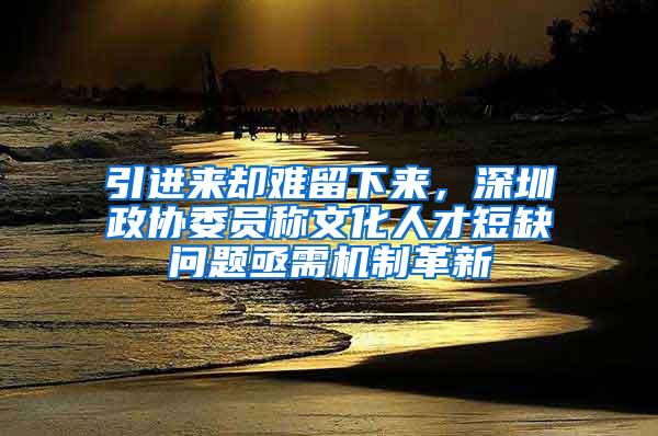 引进来却难留下来，深圳政协委员称文化人才短缺问题亟需机制革新