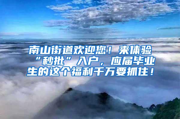 南山街道欢迎您！来体验“秒批”入户，应届毕业生的这个福利千万要抓住！