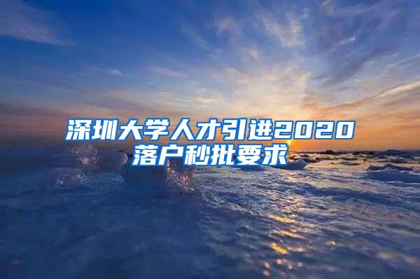 深圳大学人才引进2020落户秒批要求