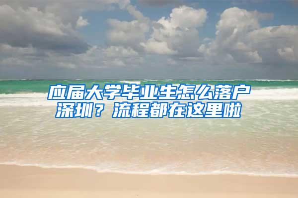 应届大学毕业生怎么落户深圳？流程都在这里啦