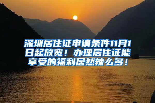 深圳居住证申请条件11月1日起放宽！办理居住证能享受的福利居然辣么多！