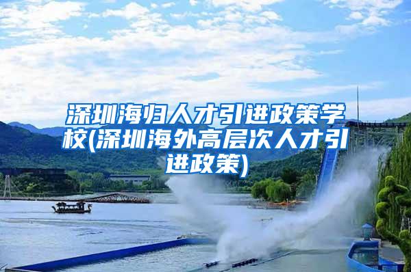 深圳海归人才引进政策学校(深圳海外高层次人才引进政策)