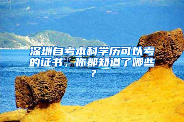 深圳自考本科学历可以考的证书，你都知道了哪些？