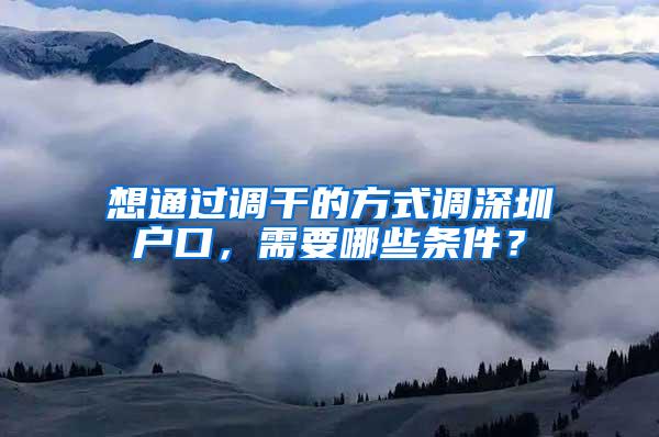 想通过调干的方式调深圳户口，需要哪些条件？