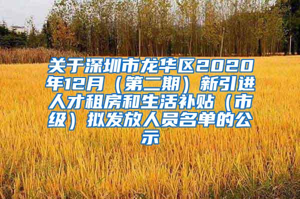 关于深圳市龙华区2020年12月（第二期）新引进人才租房和生活补贴（市级）拟发放人员名单的公示