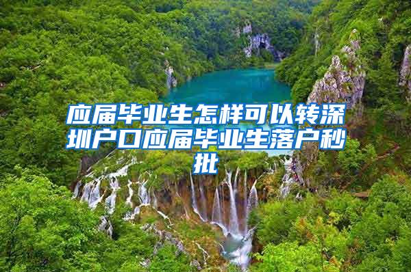 应届毕业生怎样可以转深圳户口应届毕业生落户秒批