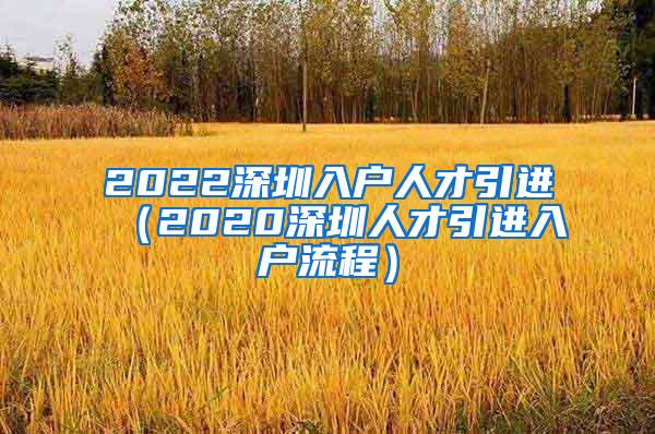 2022深圳入户人才引进（2020深圳人才引进入户流程）