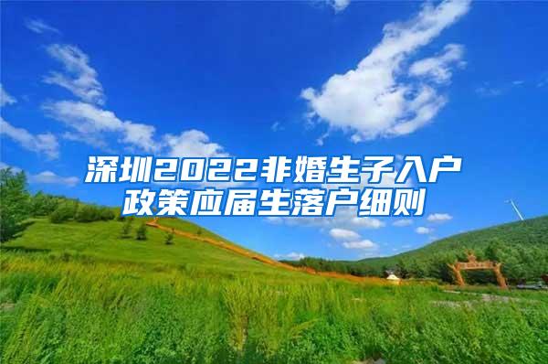 深圳2022非婚生子入户政策应届生落户细则