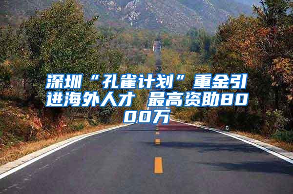 深圳“孔雀计划”重金引进海外人才 最高资助8000万