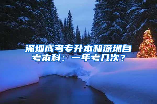 深圳成考专升本和深圳自考本科：一年考几次？