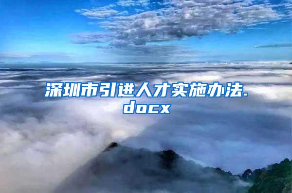 深圳市引进人才实施办法.docx