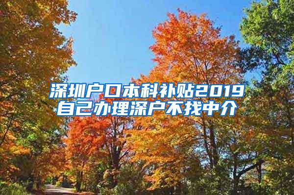 深圳户口本科补贴2019自己办理深户不找中介