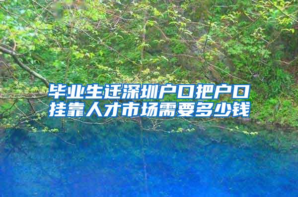 毕业生迁深圳户口把户口挂靠人才市场需要多少钱