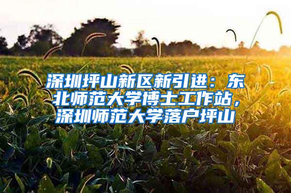 深圳坪山新区新引进：东北师范大学博士工作站，深圳师范大学落户坪山