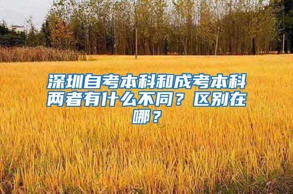 深圳自考本科和成考本科两者有什么不同？区别在哪？