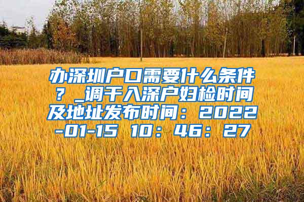 办深圳户口需要什么条件？_调干入深户妇检时间及地址发布时间：2022-01-15 10：46：27