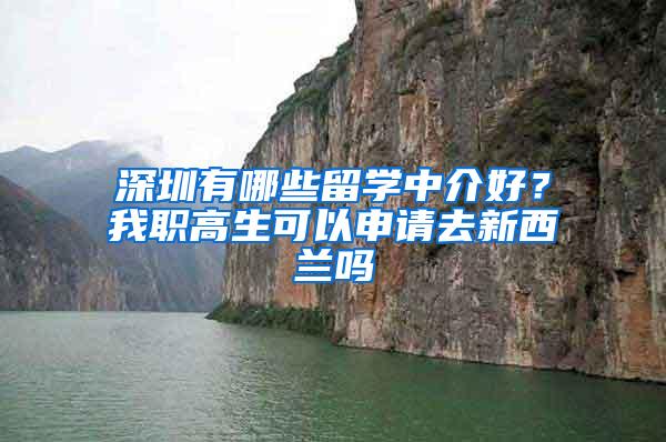 深圳有哪些留学中介好？我职高生可以申请去新西兰吗