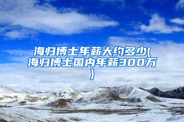 海归博士年薪大约多少(海归博士国内年薪300万)