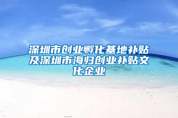 深圳市创业孵化基地补贴及深圳市海归创业补贴文化企业