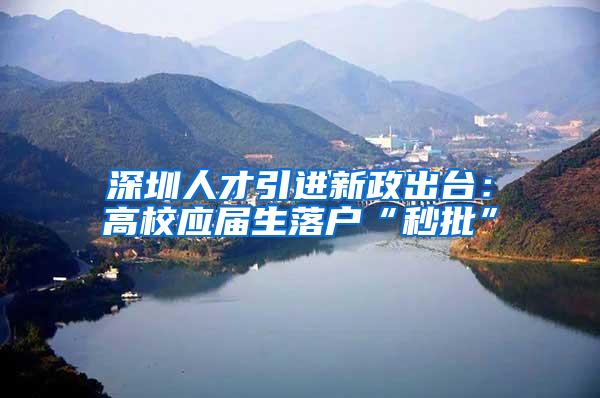 深圳人才引进新政出台：高校应届生落户“秒批”