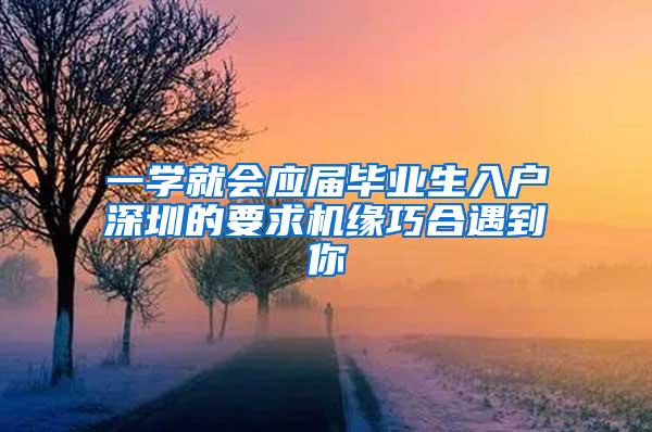 一学就会应届毕业生入户深圳的要求机缘巧合遇到你