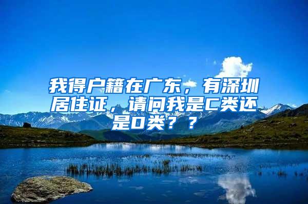 我得户籍在广东，有深圳居住证，请问我是C类还是D类？？