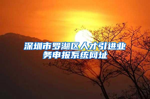 深圳市罗湖区人才引进业务申报系统网址