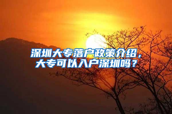 深圳大专落户政策介绍，大专可以入户深圳吗？