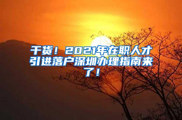 干货！2021年在职人才引进落户深圳办理指南来了！