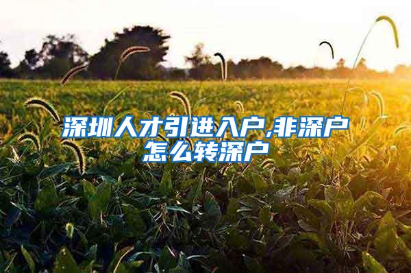 深圳人才引进入户,非深户怎么转深户